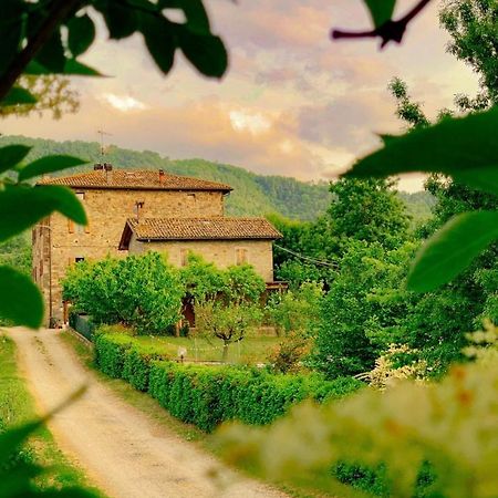 Ferienwohnung La Teggia Monte San Pietro Exterior foto
